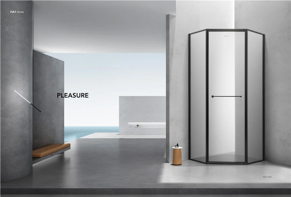 Stainless Steel Full Framed Shower Room